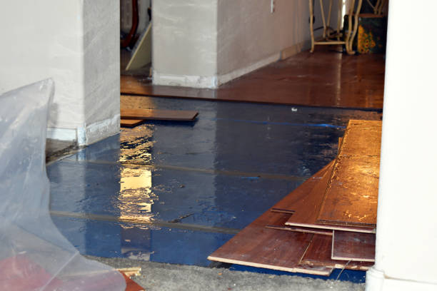 Professional Emergency Water Damage Restoration technician working in Tuppers Plains, OH